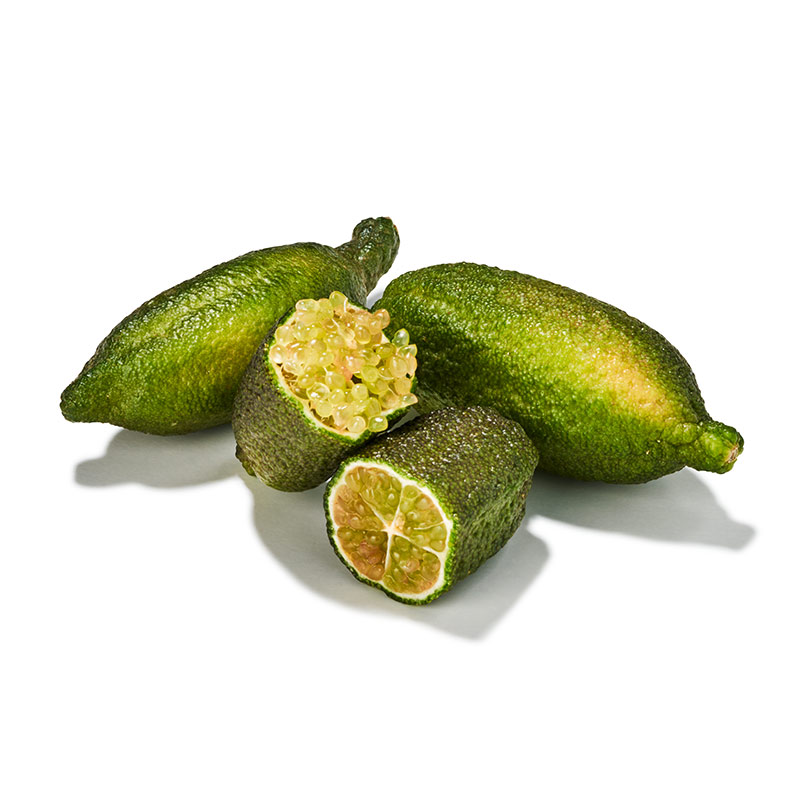 Fingerlimes-OWN-D-