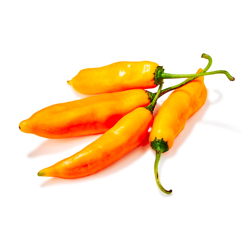 Aji-Amarillo-Chilli-gelb-OWN-D-