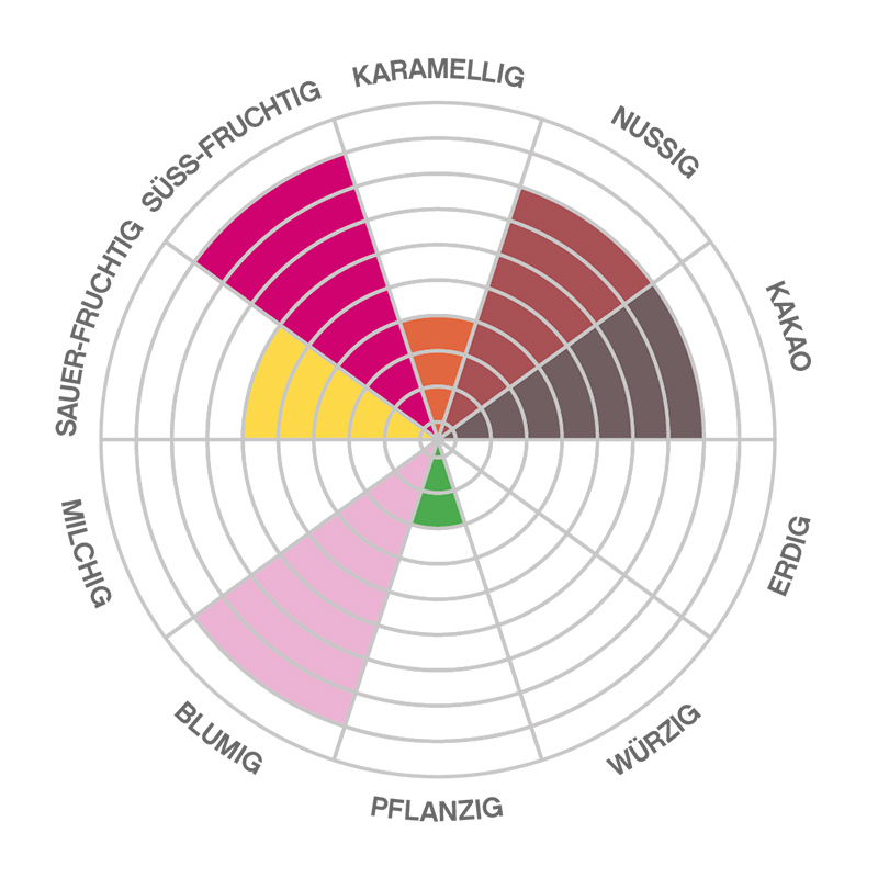 BIO-Kuvertüre-Esmeraldas-dark-LF