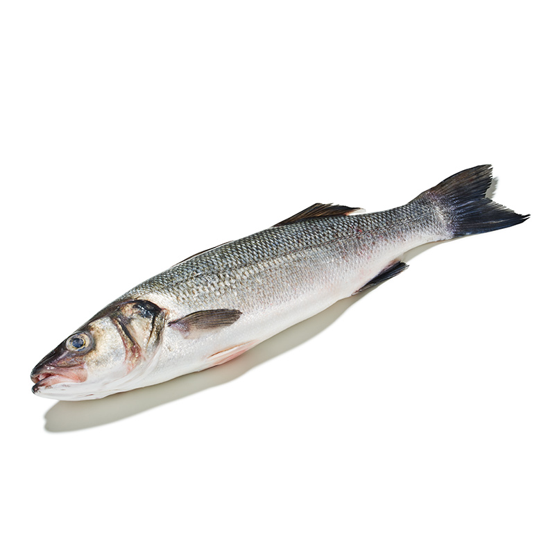 Wolfsbarsch-or10171-OWN-D