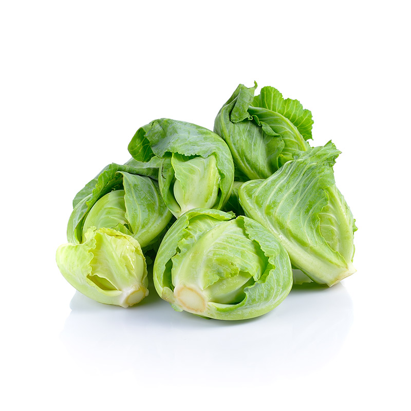Mini-Weißkohl-AD