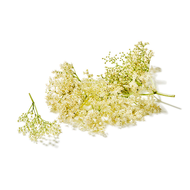 Holunderblüten-or3908-OWN-D