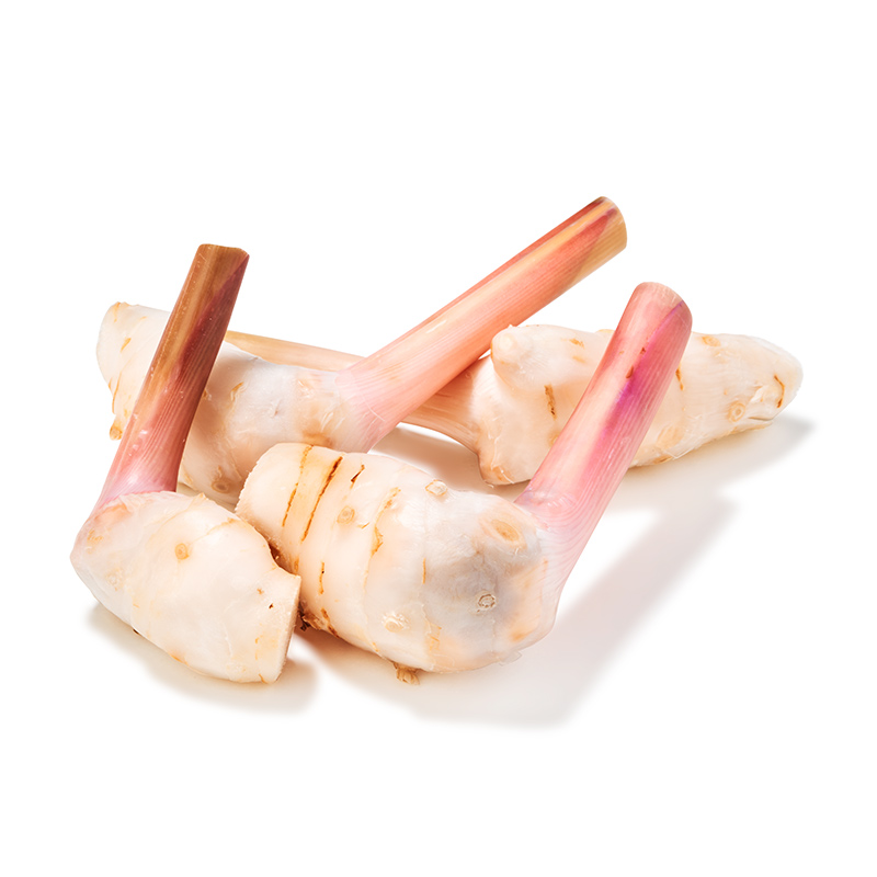 Galgant-Thai-Ingwer-or985-OWN-D