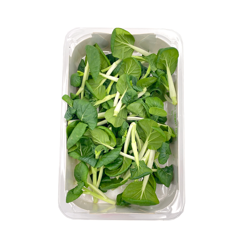 Wilder-Pak-Choi bei R-express Gastronomie Lebensmittel Grosshandel online kaufen