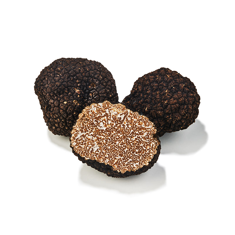 Herbsttrüffel-OWN-D