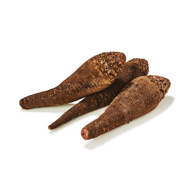 Bete-rot-länglich-OWN-D