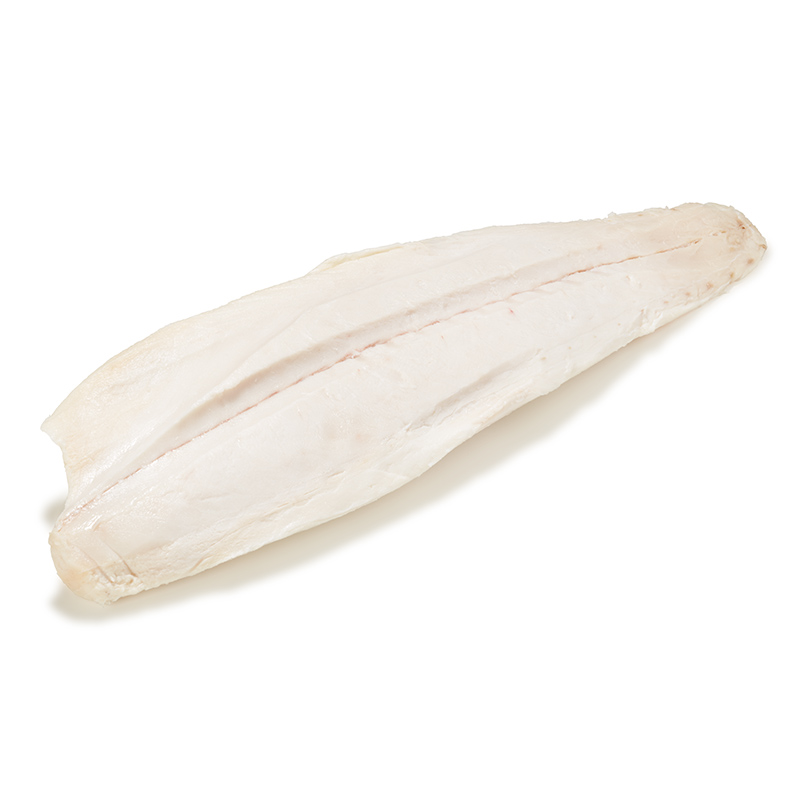 TK-Buttermakrelenfilet-or5492-OWN-D