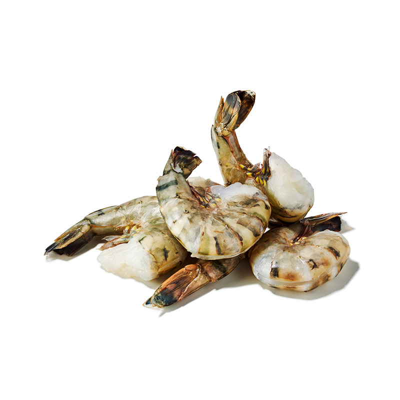 TK-Black-Tiger-Garnele-o.K.m.Sch.-or7481-OWN-D