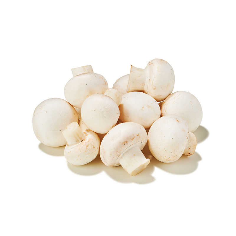 Champignons-weiß-geputzt-or7228-OWN-D