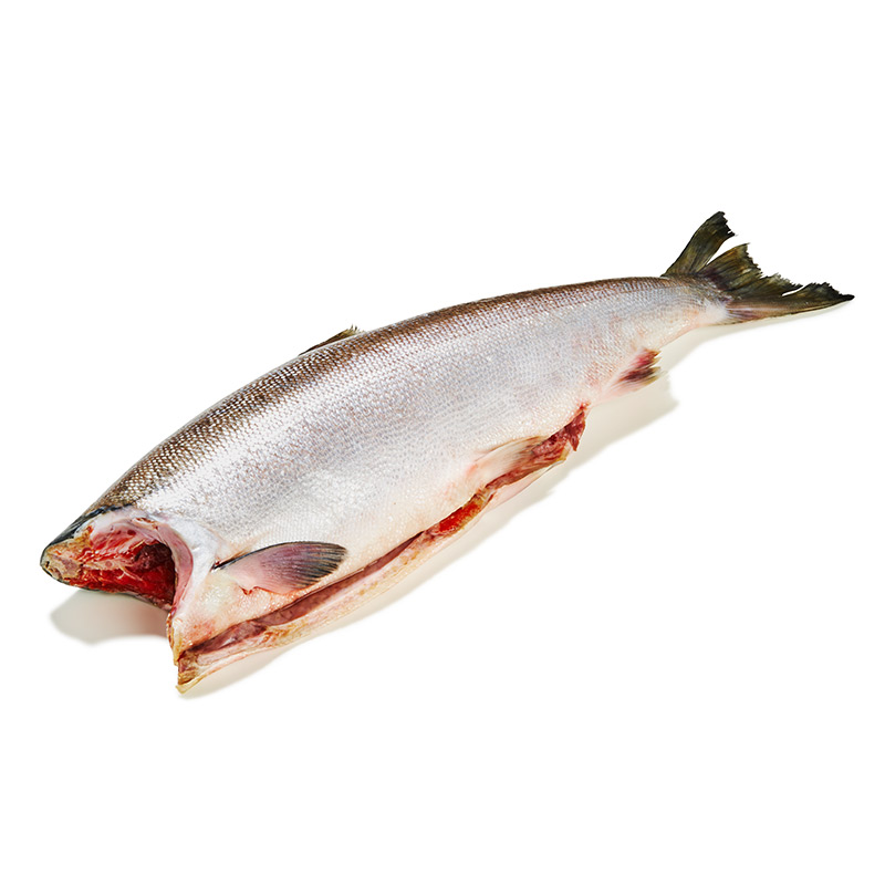 TK-Sockeye-Wildlachs-OWN-D-