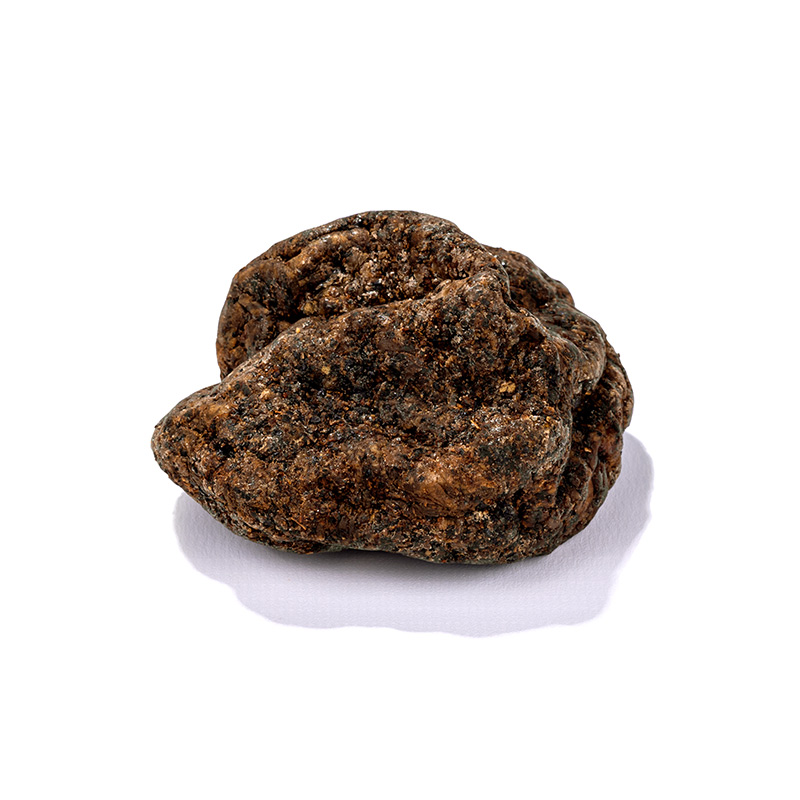 BIO-Sellerie-extra-reif-zum-Hobeln-OWN-M