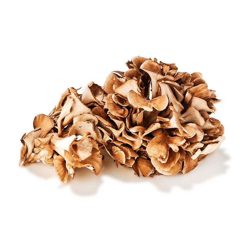 Maitake-or47808-OWN-D