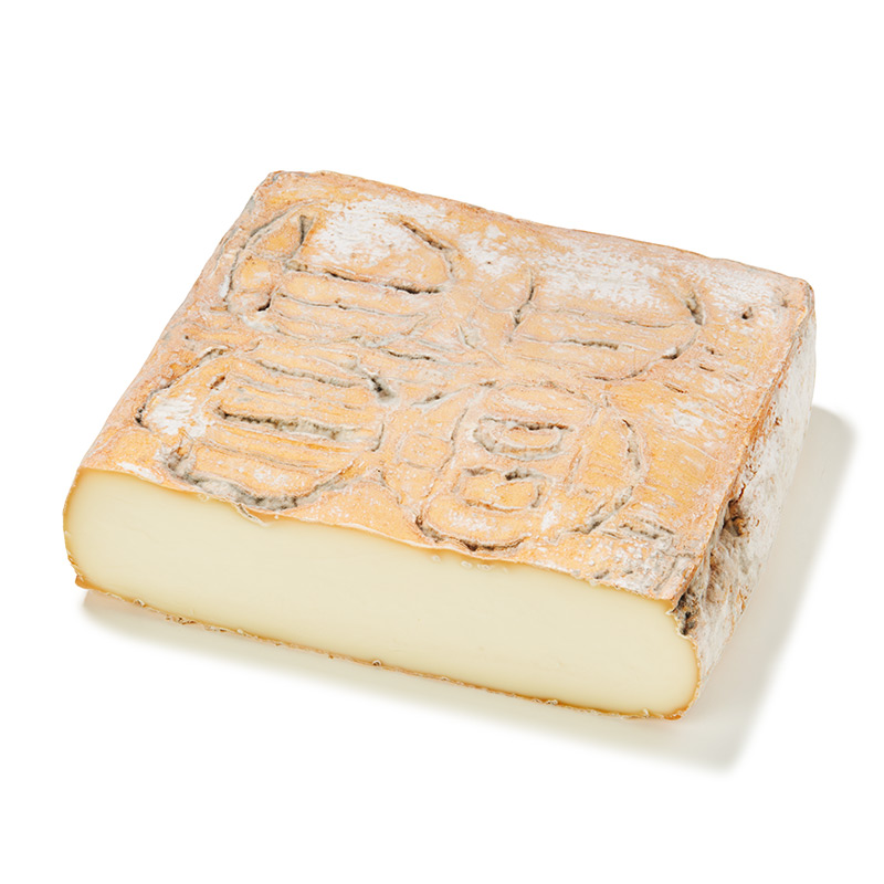 Taleggio-OWN-D