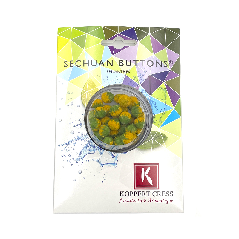 Sechuan-Button bei R-express Gastronomie Lebensmittel Grosshandel online kaufen