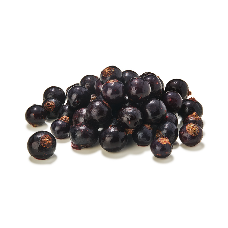 TK-Schwarze-Johannisbeeren-or52130-OWN-D