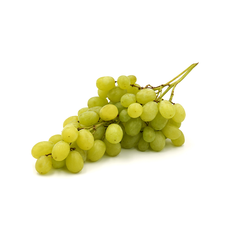 Trauben-weiß-kernlos-or49744-OWN