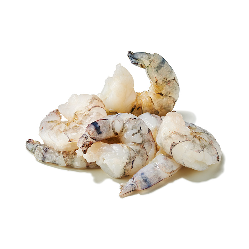 TK-Black-Tiger-Garnelen-oKoSch-or20174-OWN-D