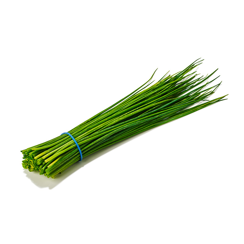 Schnittlauch-or32194-OWN-D