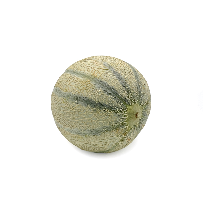 Cantaloup-Melone bei R-express Gastronomie Lebensmittel Grosshandel online kaufen