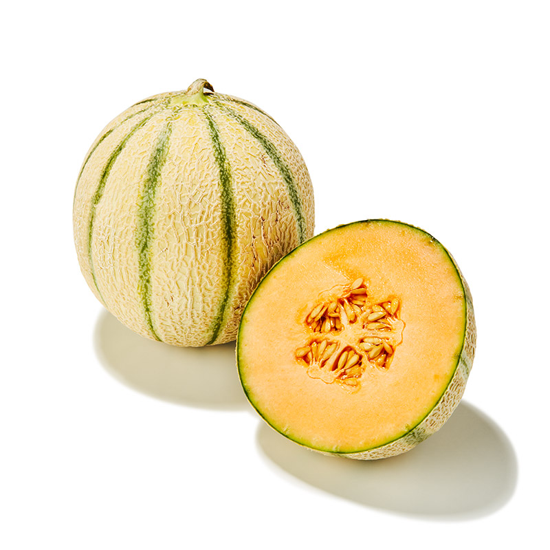 Melone-Charentais-or49778-OWN-D