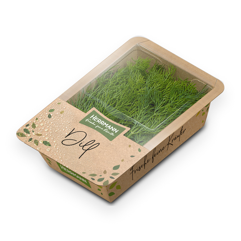 Dill bei R-express Gastronomie Lebensmittel Grosshandel online kaufen