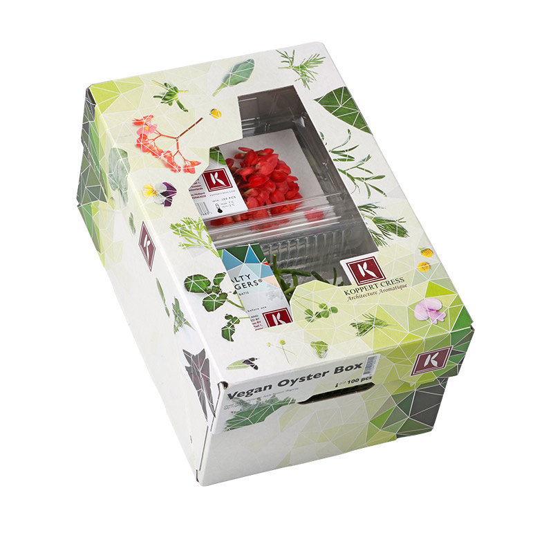 Vegan-Oyster-Box-LF