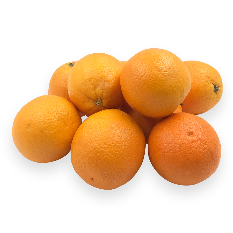 Essorangen bei R-express Gastronomie Lebensmittel Grosshandel online kaufen