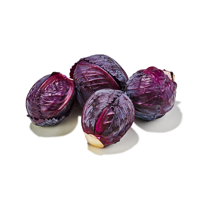 Bio-Mini-Rotkohl-or8099-OWN-D
