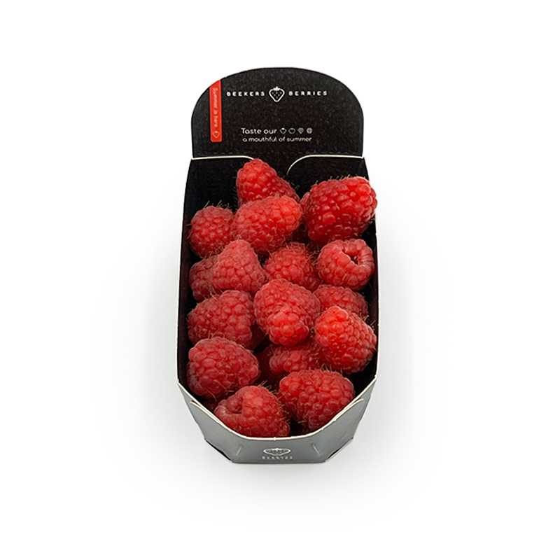 Himbeeren bei R-express Gastronomie Lebensmittel Grosshandel online kaufen