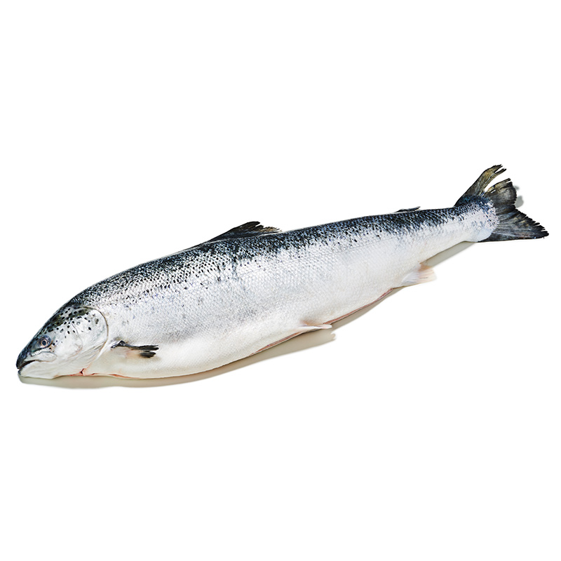 BIO-Lachs-Superior-or32-OWN-D-