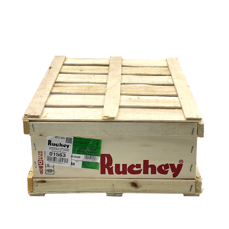 Mispel-2 bei R-express Gastronomie Lebensmittel Grosshandel online kaufen