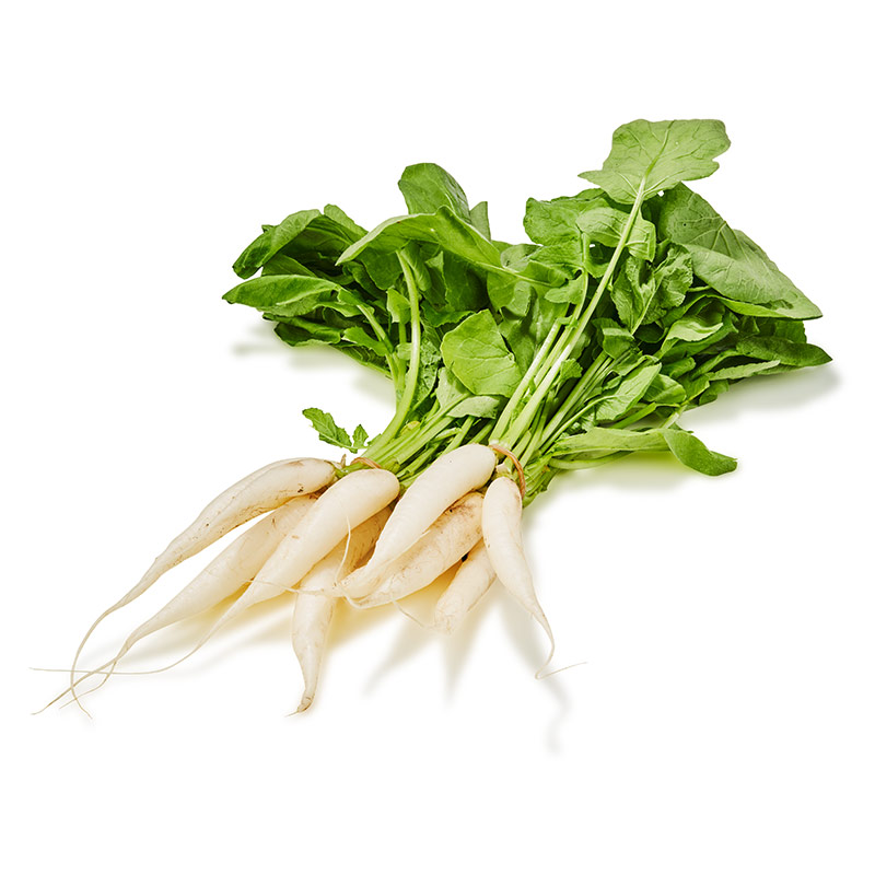 Eiszapfen-weißer-Minirettich-or4065-OWN-D-