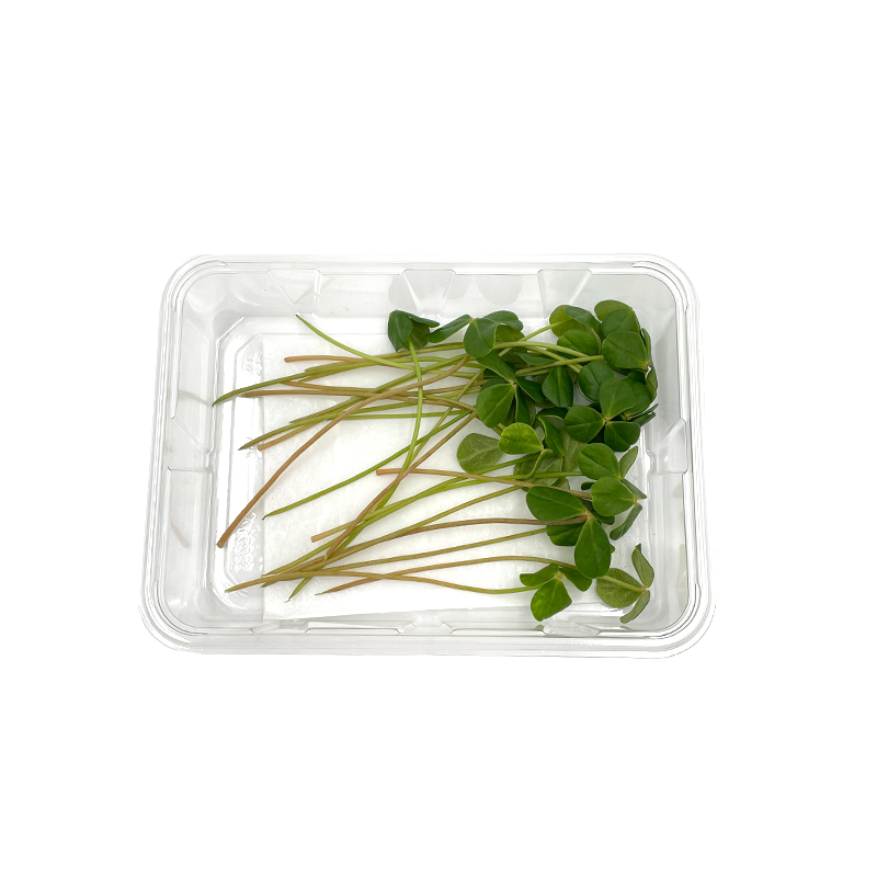 Citra-Leaves bei R-express Gastronomie Lebensmittel Grosshandel online kaufen