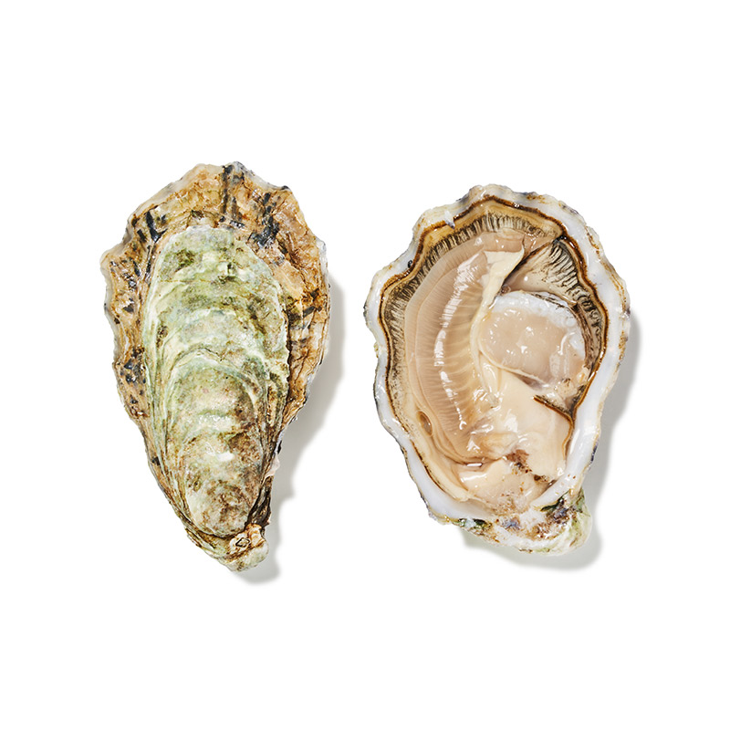 Austern-Gillardeau-or4572-OWN-D