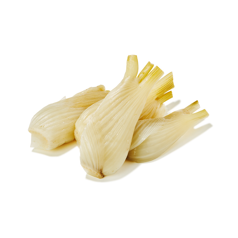 Fenchel-sous-vide-OWN-D