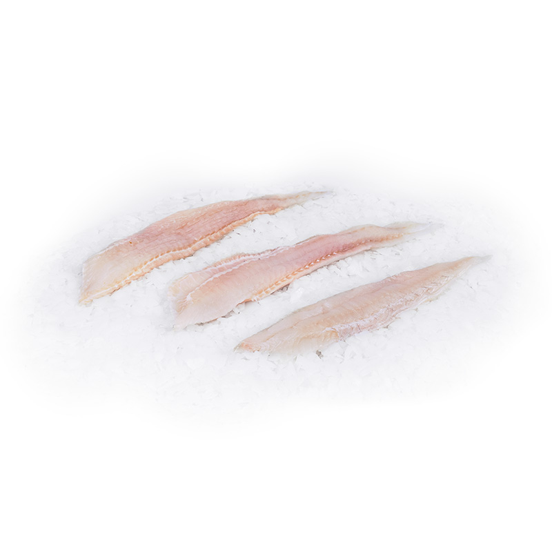 TK-Seezungenfilet-2 bei R-express Gastronomie Lebensmittel Grosshandel online kaufen