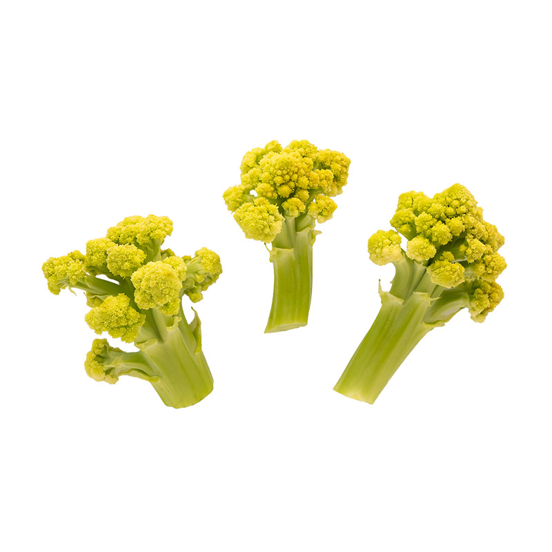 Wilder-Romanesco-LF