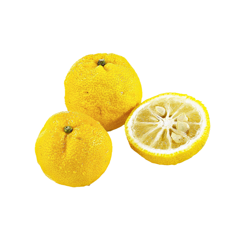 YUZU-FRUCHT bei R-express Gastronomie Lebensmittel Grosshandel online kaufen