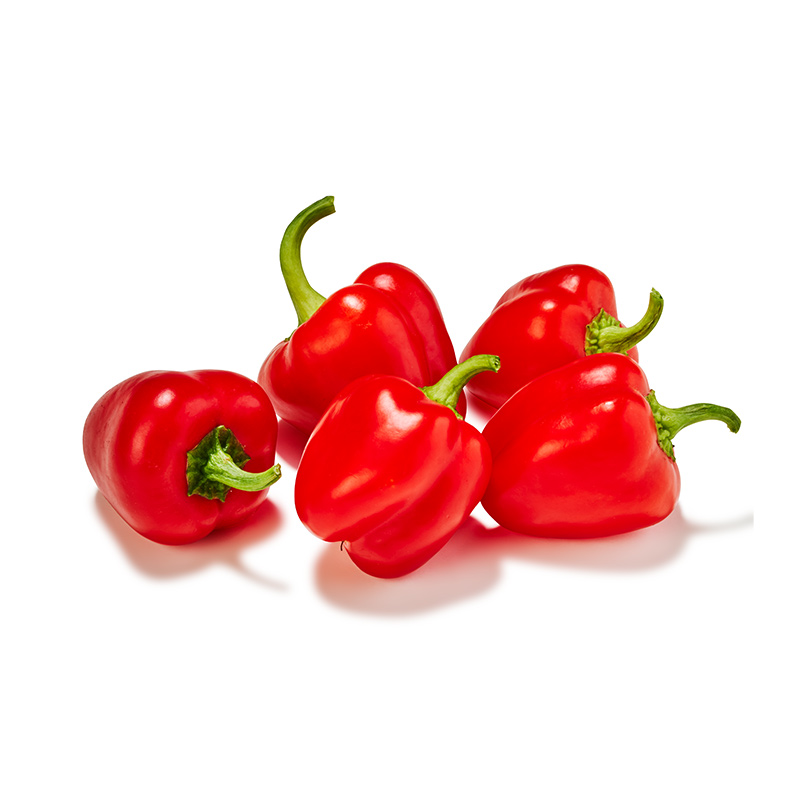 Mini-Paprika-rot-OWN-D