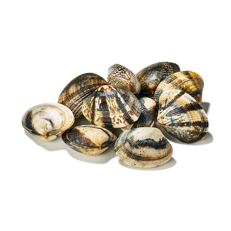 Vongole-OWN-D