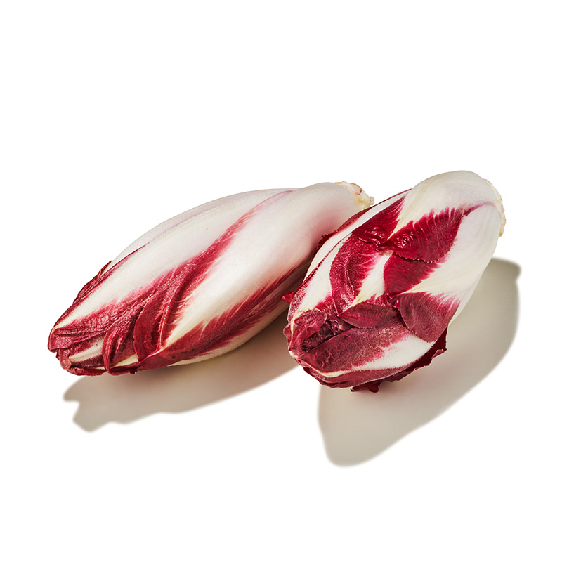 Chicoree-rot-or24419-OWN-D