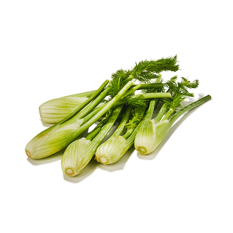 Mini-Fenchel-OWN-D