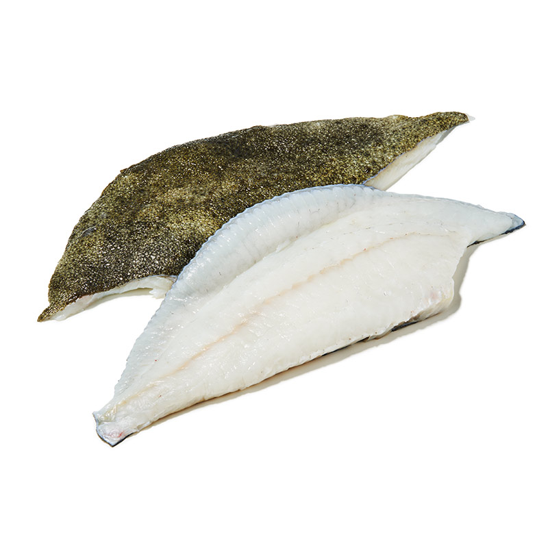 Steinbuttfilet-m.H.-or10075-OWN-D