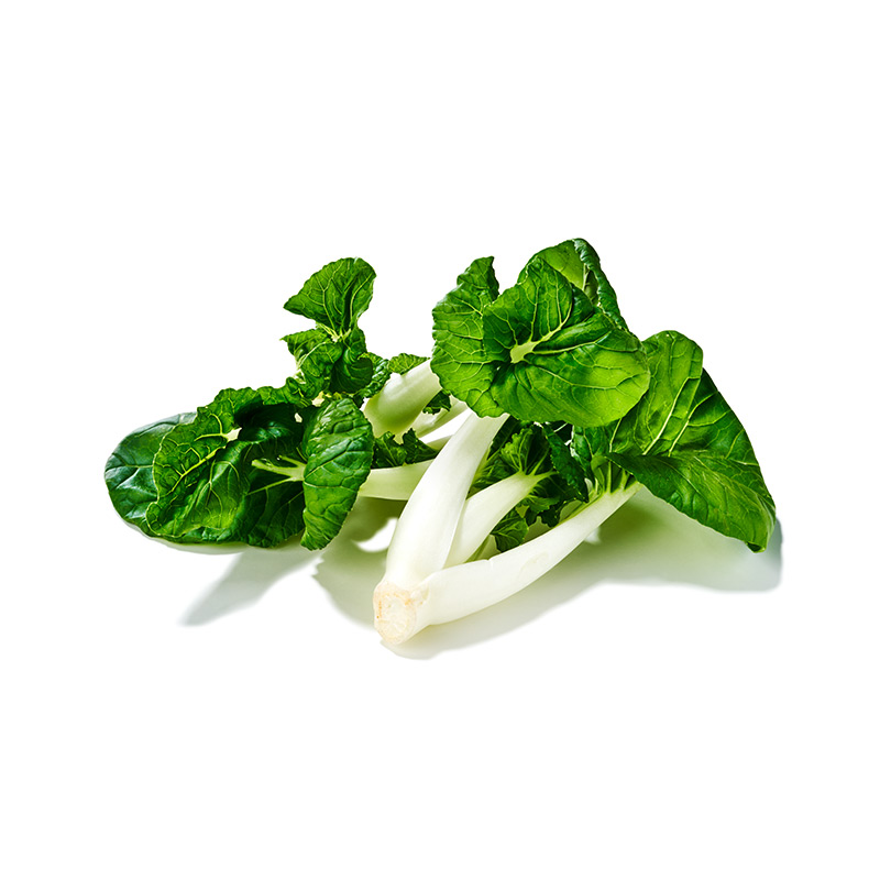 Wilder-Pak-Choi-OWN-D-