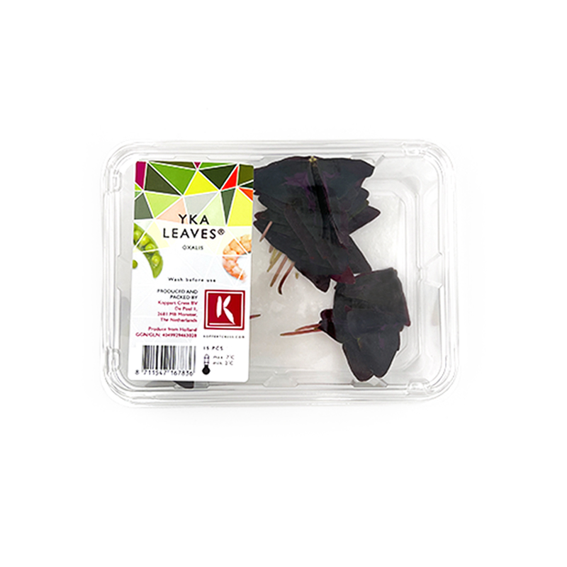 Yka-Leaves-Cress-2 bei R-express Gastronomie Lebensmittel Grosshandel online kaufen