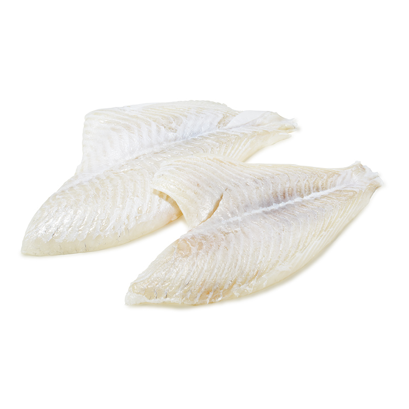 TK-Steinbuttfilet-o.H.-OWN-D