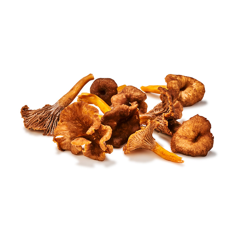 Chanterelle-gelb-OWN-D