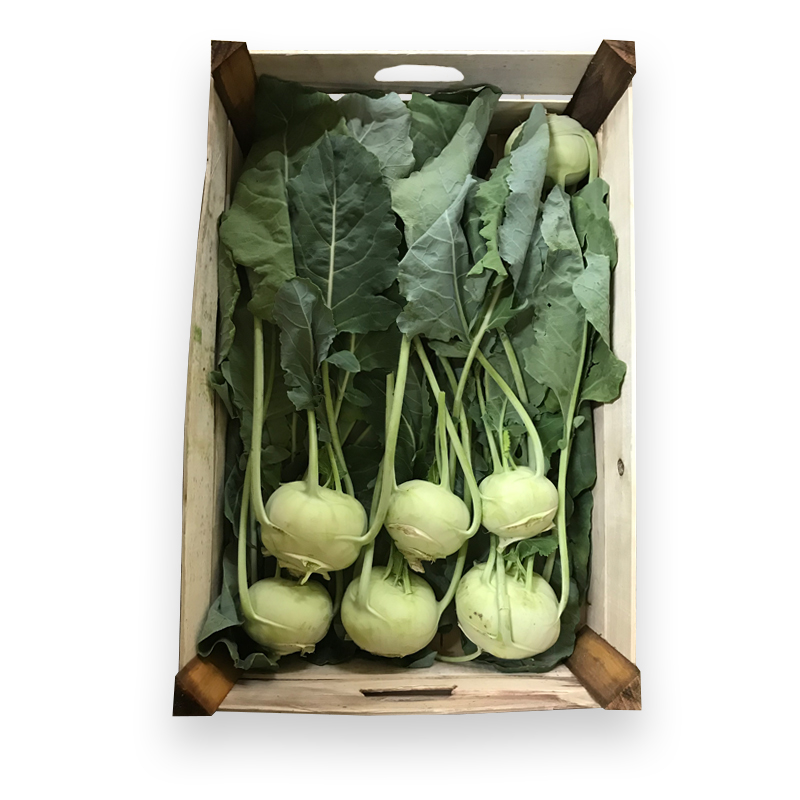 Kohlrabi bei R-express Gastronomie Lebensmittel Grosshandel online kaufen