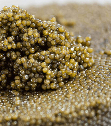 Caviar-Tresor für Hotel, Restaurant und Catering bei R-express